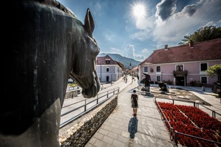 F011644-slo_konjice_4598_180823_vp-photo-l (1) STO Vid Ponikvar